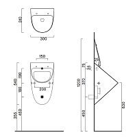 Catalano Comfort Писсуар подвесной без отверстия под крышку 30х54h см, цвет: белый матовый 0932540021