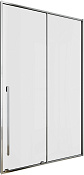 Allen Brau Fantasy Душевая дверь 120 см, стекло 8мм, цвет: хром 3.11006.00