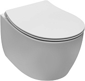 Allen Brau Fantasy Чаша подвесного унитаза 51x36,3 см каскадный смыв, цвет: белый матовый 4.11004.21