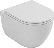 Allen Brau Priority Чаша подвесного унитаза 49x36 см смыв торнадо, цвет: белый глянцевый 4.31009.20