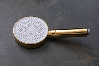 Allen Brau Priority Душевая лейка, 3 режима, цвет: золото брашированное 5.31B20-GB