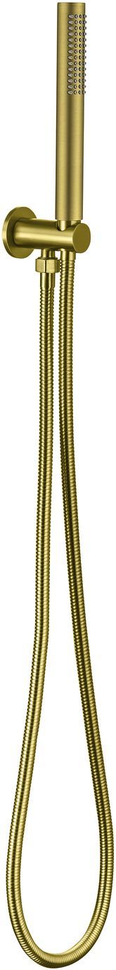 Allen Brau Priority Душевой гарнитур: ручной душ, держатель, шланг 150 см, цвет: золото браш 5.31019-GB