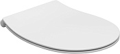 Allen Brau Fantasy Крышка-сиденье для унитаза, с микролифтом, цвет: белый матовый 4.11005.21
