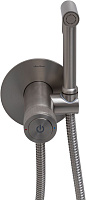 Allen Brau Liberty Гигиенический душ со смесителем и внутренней частью, цвет: никель брашированный 5.33005-BN