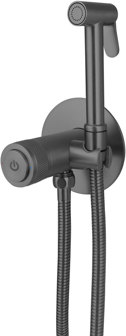 Allen Brau Liberty Гигиенический душ со смесителем и внутренней частью, цвет: графит брашированный 5.33005-MG