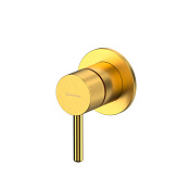 Whitecross Y Смеситель для душа, на 1 потребитель, внешняя часть, цвет: золото брашированное 2-Y1241GLB