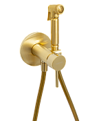 Mariani Next Гигиенический душ со смесителем и встраиваемой частью, шланг 120 см, цвет: золото B22185NXW