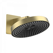 Wonzon & Woghand Верхний душ 30 см, 1 вид струи, кронштейн настенный, цвет: брашированное золото WW-HS099-BG