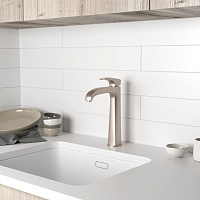 Paini Lady Смеситель для кухни, излив 15,6 см, цвет: никель брашированный PVD 89PW579KM