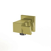 Paini Шланговое подключение с держателем, цвет: золото брашированное PVD 50PJ480QQ