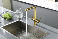 Paulmark Serpentine Смеситель для кухни с выдвижным изливом и подключ. фильтра, цвет: браш. золото Se213222-BG