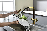 Paulmark Serpentine Смеситель для кухни с выдвижным изливом и подключ. фильтра, цвет: браш. золото Se213222-BG