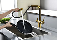 Paulmark Serpentine Смеситель для кухни с выдвижным изливом и подключ. фильтра, цвет: браш. золото Se213222-BG
