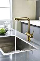 Paulmark Serpentine Смеситель для кухни с выдвижным изливом и подключ. фильтра, цвет: браш. золото Se213222-BG