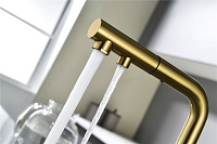 Paulmark Serpentine Смеситель для кухни с выдвижным изливом и подключ. фильтра, цвет: браш. золото Se213222-BG