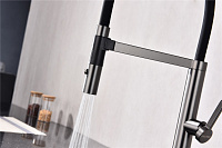 Paulmark Leader Смеситель для кухни с гибким изливом, цвет: вороненая сталь Le214101-GM