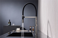 Paulmark Leader Смеситель для кухни с гибким изливом, цвет: вороненая сталь Le214101-GM