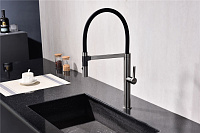Paulmark Leader Смеситель для кухни с гибким изливом, цвет: вороненая сталь Le214101-GM