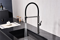 Paulmark Leader Смеситель для кухни с гибким изливом, цвет: вороненая сталь Le214101-GM