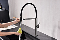 Paulmark Leader Смеситель для кухни с гибким изливом, цвет: вороненая сталь Le214101-GM