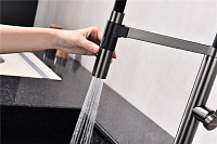 Paulmark Leader Смеситель для кухни с гибким изливом, цвет: вороненая сталь Le214101-GM