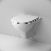 Am.Pm Gem Унитаз подвесной 36,5х50 см, безободковый с крышкой микролифт, цвет: белый глянцевый C901700SC