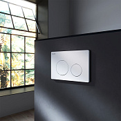 Am.Pm PrimeFit L Кнопка смыва для унитаза, 2 режима, пластик, цвет: белый глянцевый I090101