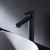 Am.Pm Func Смеситель для раковины высокий на 1 отверстие, без д/к, излив 17 см, цвет: черный матовый F8F92022