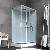 Am.Pm Gem Душевая кабина 120x208,2h см, универсальная, цвет: хром матовый W90C-404-12090MT