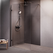 Am.Pm X-Joy Душевое ограждение walk-in 110,4х195h см, прозрачное 6 мм, цвет: хром матовый W94WI-110-F1-MTE