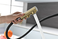 Paulmark Serpentine Смеситель для кухни с выдв. изливом и возм. подкл. фильтра, цвет: светлое золото Se213222-LG