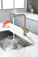 Paulmark Serpentine Смеситель для кухни с выдв. изливом и возм. подкл. фильтра, цвет: светлое золото Se213222-LG
