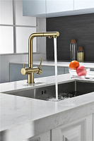Paulmark Serpentine Смеситель для кухни с выдв. изливом и возм. подкл. фильтра, цвет: светлое золото Se213222-LG