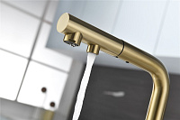 Paulmark Serpentine Смеситель для кухни с выдв. изливом и возм. подкл. фильтра, цвет: светлое золото Se213222-LG