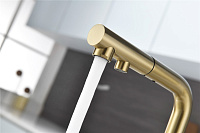 Paulmark Serpentine Смеситель для кухни с выдв. изливом и возм. подкл. фильтра, цвет: светлое золото Se213222-LG