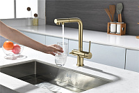 Paulmark Serpentine Смеситель для кухни с выдв. изливом и возм. подкл. фильтра, цвет: светлое золото Se213222-LG