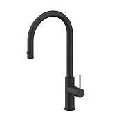 Paulmark Galant Смеситель для кухни с выдвижным изливом и возм. подключения фильтра, цвет: антрацит Ga213077-AN