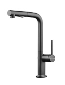 Paulmark Neo Смеситель для кухни с выдвижным изливом, цвет: вороненая сталь Ne214419-GM