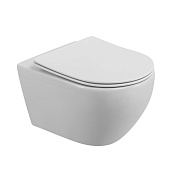 Cezares Stream Унитаз подвесной безободковый 36x53 см, смыв торнадо, цвет: белый глянцевый CZR-2426-TH-TOR/SC