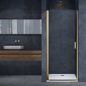 Vincea Alpha Душевая дверь распашная 70x195h см, прозрачное стекло 6 мм, цвет: брашированное золото VDP-3AL700CLG