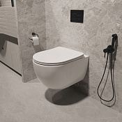 Vincea Evo Унитаз подвесной безободковый 36,5x49 см, с сиденьем, цвет: белый глянцевый VT1-34ST