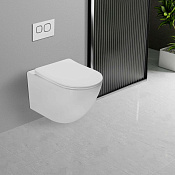 Vincea Globo Унитаз подвесной безободковый 36x53,5 см, с сиденьем, цвет: белый глянцевый VT1-14T