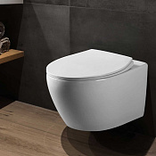 Vincea Felice Унитаз подвесной безободковый 38x53 см, с сиденьем, цвет: белый глянцевый VT1-25