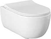 Allen Brau Priority Унитаз подвесной безободковый 36x54,5 см, цвет: белый глянцевый 4.31001.20