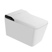 Abber Rechteck Унитаз с функцией биде подвесной 36x60 см, с крышкой микролифт, цвет: белый матовый AC1215S