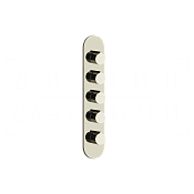 Gessi Anello Термостат для душа встраиваемый, на 4 потребителя, внешняя часть, цвет: nickel PVD 43068#720