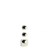 Gessi Anello Термостат для душа встраиваемый, на 2 потребителя, внешняя часть, цвет: nickel PVD 43234#720