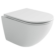 Ceramicanova Whirl Унитаз подвесной 36х53 см, торнадо, с крышкой, цвет: белый глянцевый CN11007T