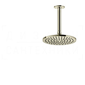 Gessi Inciso Верхний душ d20,1 см, потолочный кронштейн, 1 вид струи, цвет: nickel PVD 58152#720