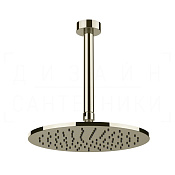 Gessi Anello Верхний душ d25 см, потолочный кронштейн, 1 вид струи, цвет: nickel PVD 63352#720